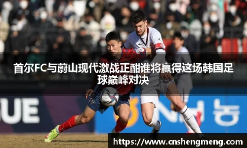 首尔FC与蔚山现代激战正酣谁将赢得这场韩国足球巅峰对决