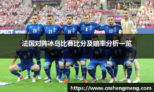 法国对阵冰岛比赛比分及赔率分析一览